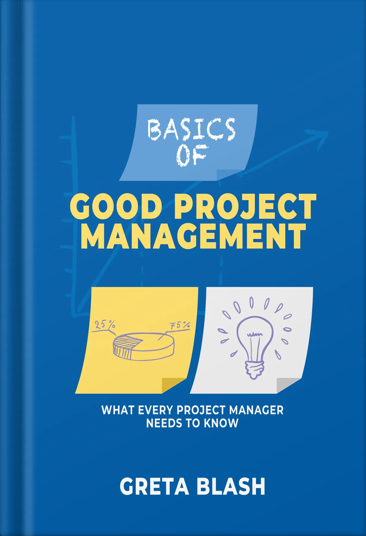 Basic Of Good Project Management by Platoon Publishing Group